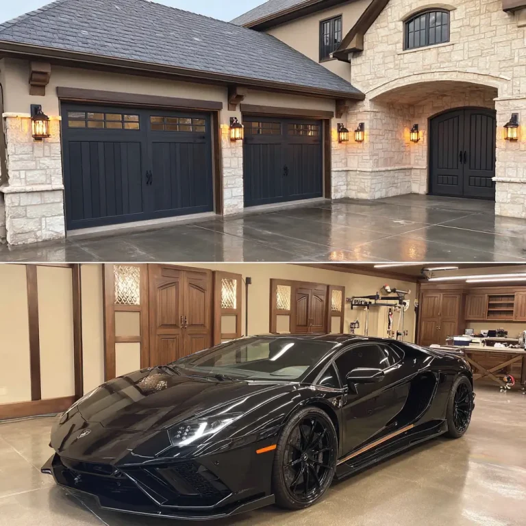 17 Garage Door Ideas Modern